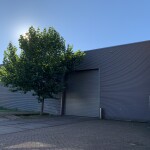 IMG_9518